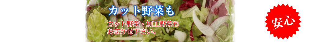 83j83b83g96ec8dd882e0.png